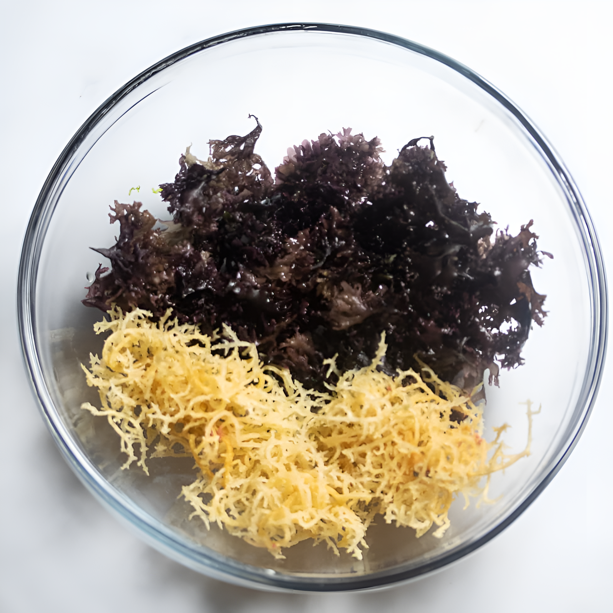 Wildcrafted vs. Farmed Sea Moss: What’s the Difference?